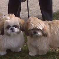 Ruth Burk Photo 12