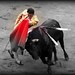 Julian Ponce Photo 16