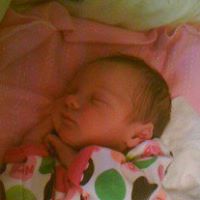 Lisa Chamberlin Photo 5