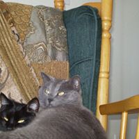 Tabitha Abbey Photo 3