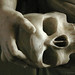 Mary Stratton Photo 19
