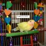 Terry Gregory Photo 46