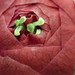 Camelia Sharp Photo 5