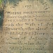 John Jenkinson Photo 21