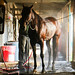 Eddie Adams Photo 37