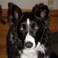 Connie Abel Photo 8