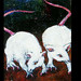 Heidi Hutchinson Photo 35