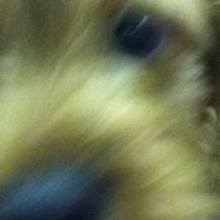 Mitchell Laird Photo 6