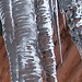 Jack Frost Photo 11