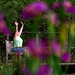 Kathy Meadow Photo 1