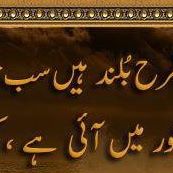 Sultan Omar Photo 11