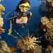 Debbie Pike Photo 17