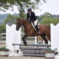 Michele Woods Photo 33