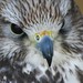William Feathers Photo 13