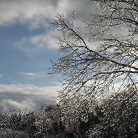 Kathleen Cronin Photo 37