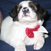 Bernard Mitchell Photo 42