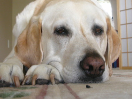 Andrea Dunn Photo 14