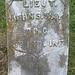 Lenora Williams Photo 19