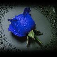 Muhammad Sadiq Photo 38