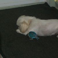 Marie Duval Photo 32