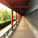 Yao Lin Photo 16