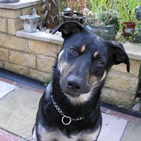 Max Lowe Photo 22