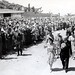 Elizabeth Graves Photo 20