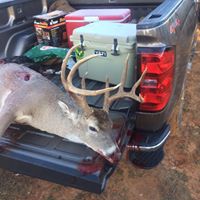 Michael Pruitt Photo 38