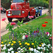 Wendy Coe Photo 27