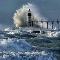 Dawn Kramer Photo 17