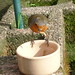 Robin Mays Photo 22