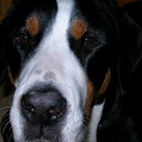 Gregory Newton Photo 29