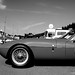 William Pritchard Photo 18
