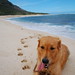 Emily Erdman Photo 16