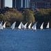 Charles Schell Photo 22