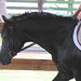 Bobby Kline Photo 20