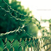 Robert Brisson Photo 20
