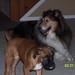 Renee Roscoe Photo 10