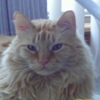 Dianne Bunner Photo 4