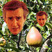 Alan Trees Photo 8