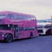Ross Newton Photo 33