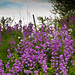 Stacy Flowers Photo 30