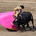 Jose Simpson Photo 13
