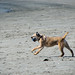 Laurie Gonzales Photo 18