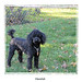 Harold Tucker Photo 17