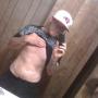 Michael Gipson Photo 35