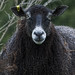 Doris Lamb Photo 23