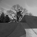 Jeff Holcomb Photo 13