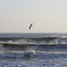 Don Swain Photo 14