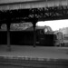 Victoria South Photo 8